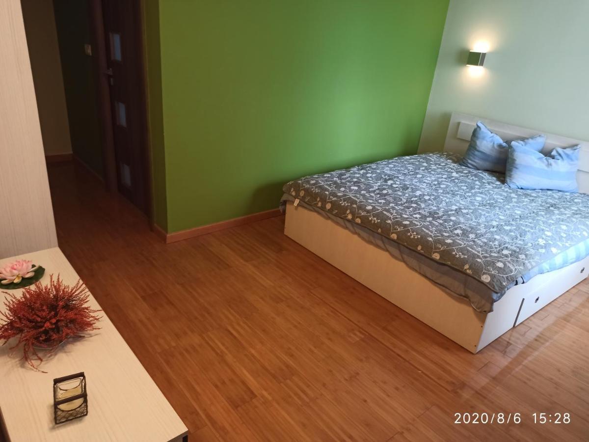 Hotel Casa Tiky Timisoara Esterno foto