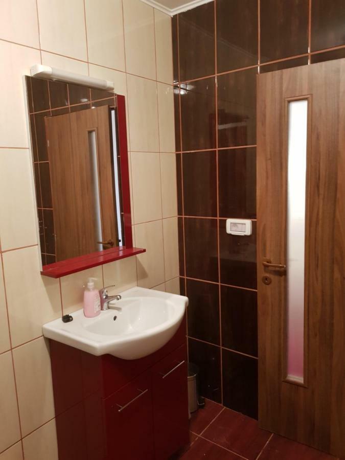 Hotel Casa Tiky Timisoara Esterno foto