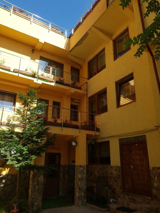 Hotel Casa Tiky Timisoara Esterno foto